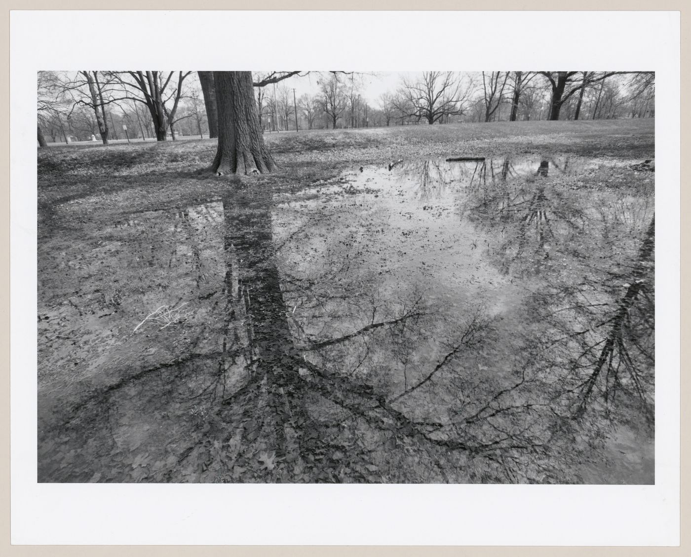 Shawnee Park, Louisville, Kentucky