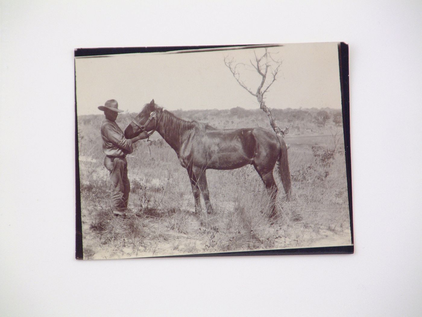 View of man standing with horse in field, near Zambezi River