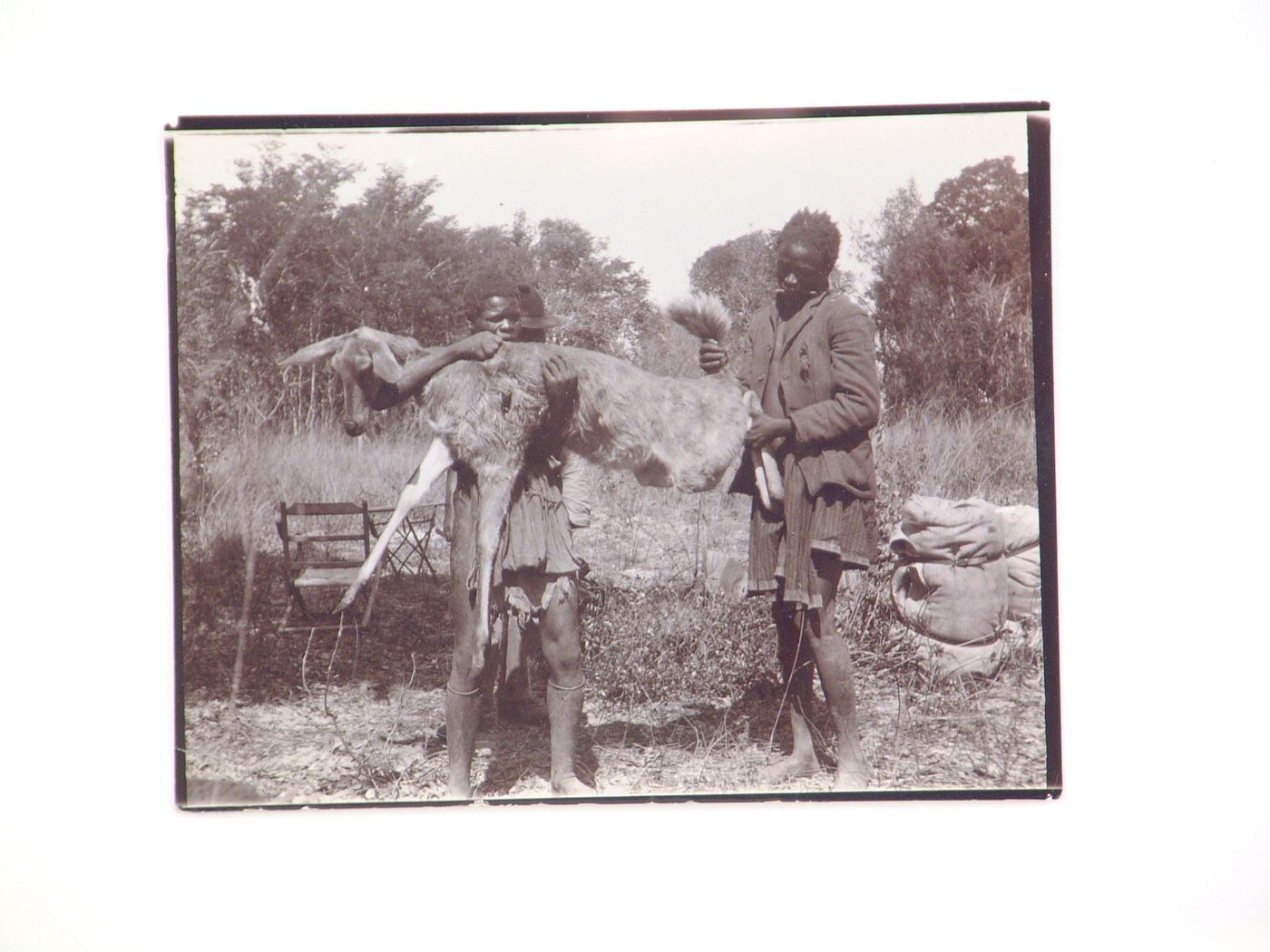 View of two men holding a dead bushbuck, near Zambezi River