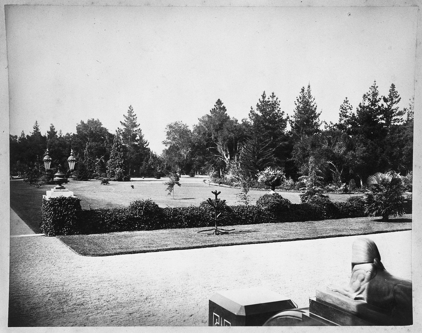 Looking towards hedged terrace and lawn, from the stone sphinx, Linden Towers, James Clair Flood Estate, Atherton, California