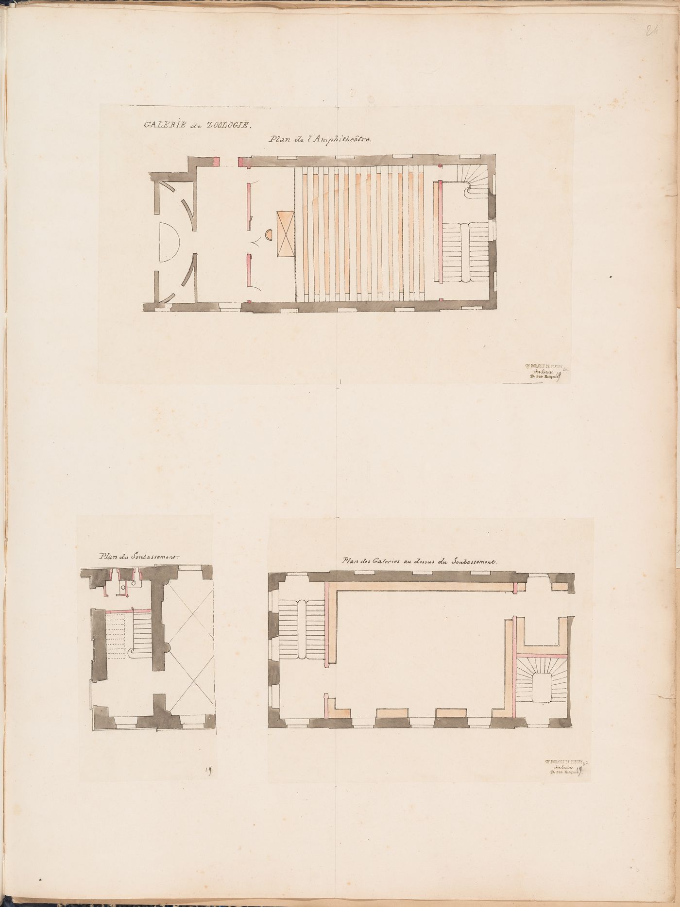 Project for a Galerie de zoologie, 1846: Plans for the amphitheatre