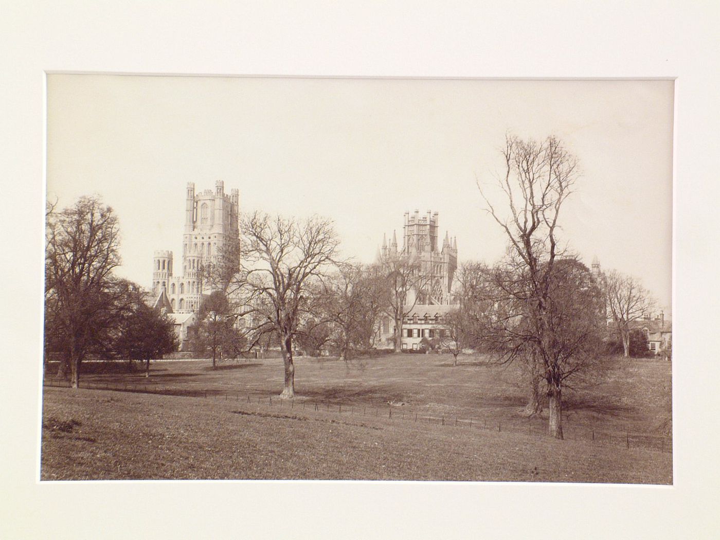 Distant view of Ely Cathedral, partially obscured by trees, Ely, England