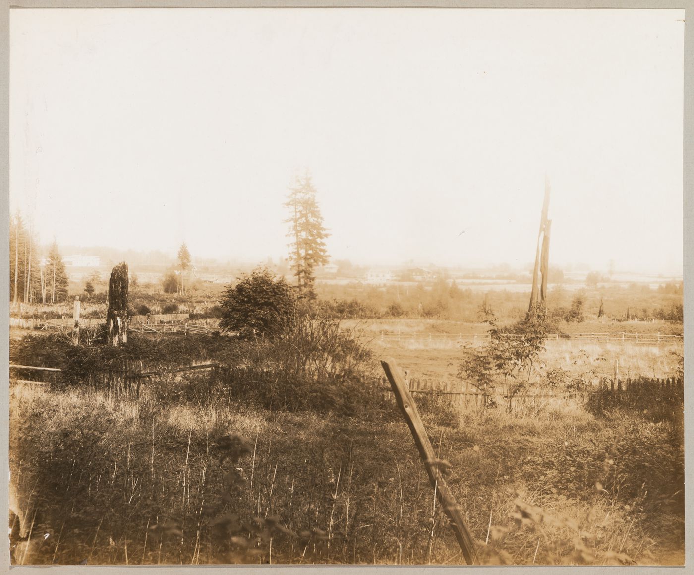 View from St. Mary's Hill (now Mary Hill) over land designated for the development of the First Division, the business center of Coquitlam (now Port Coquitlam), British Columbia
