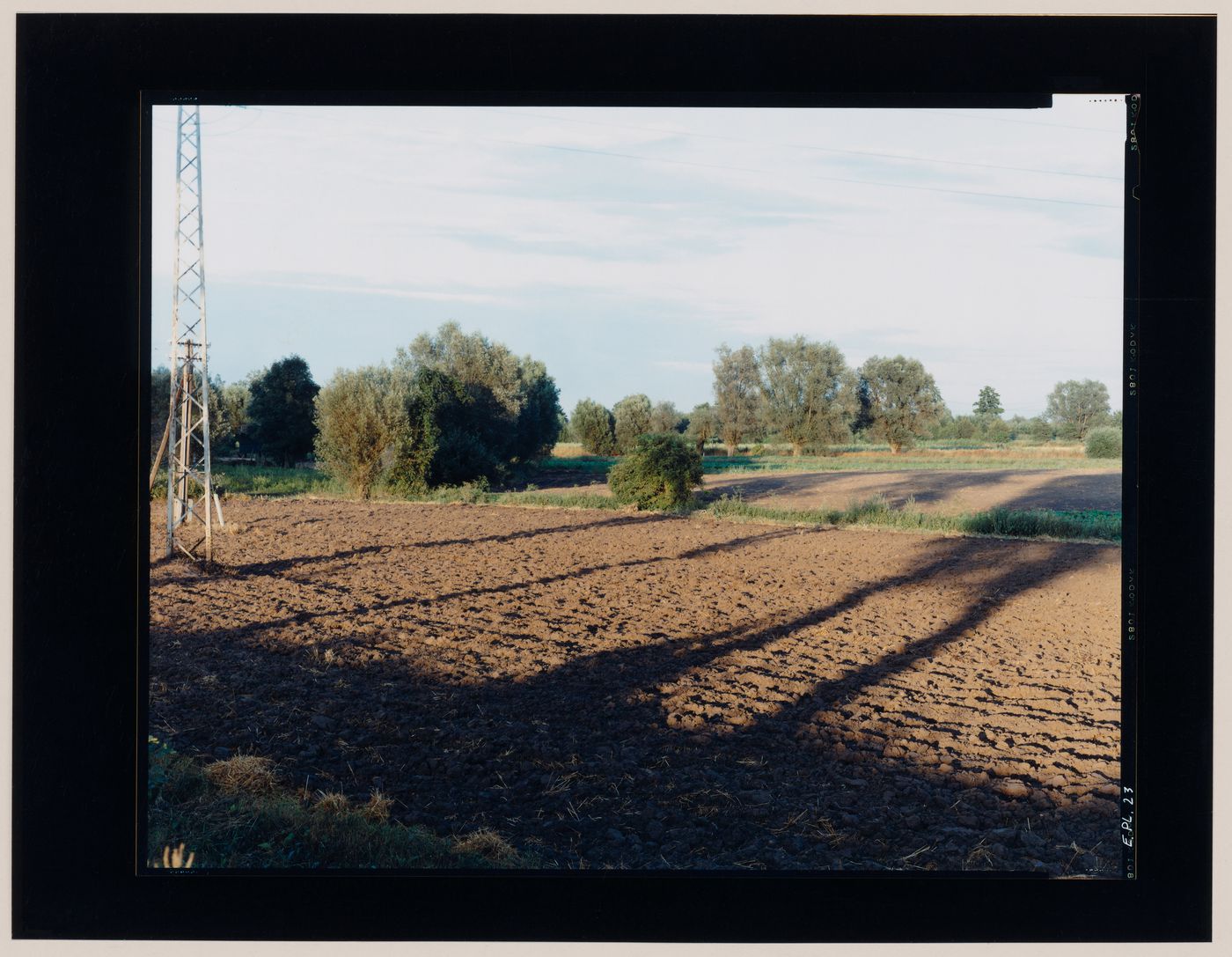 View of agricultural land, a utility pole and an electricity pylon, Gronowo, near Braniewo, Poland