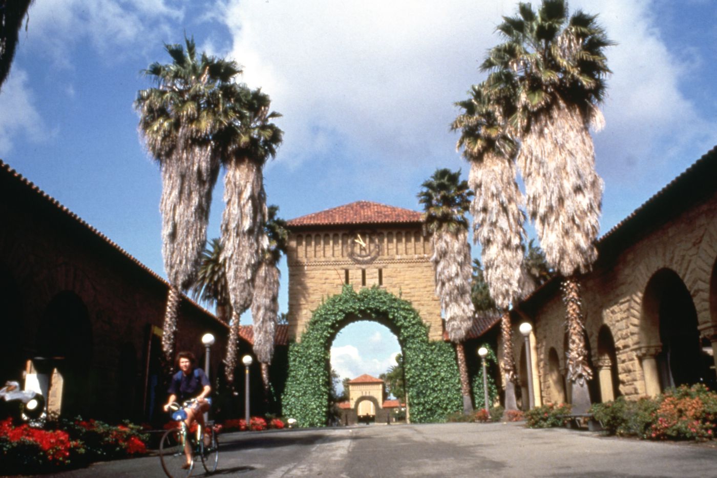 Photograph of Stanford for research for Olmsted: L'origine del parco urbano e del parco naturale contemporaneo