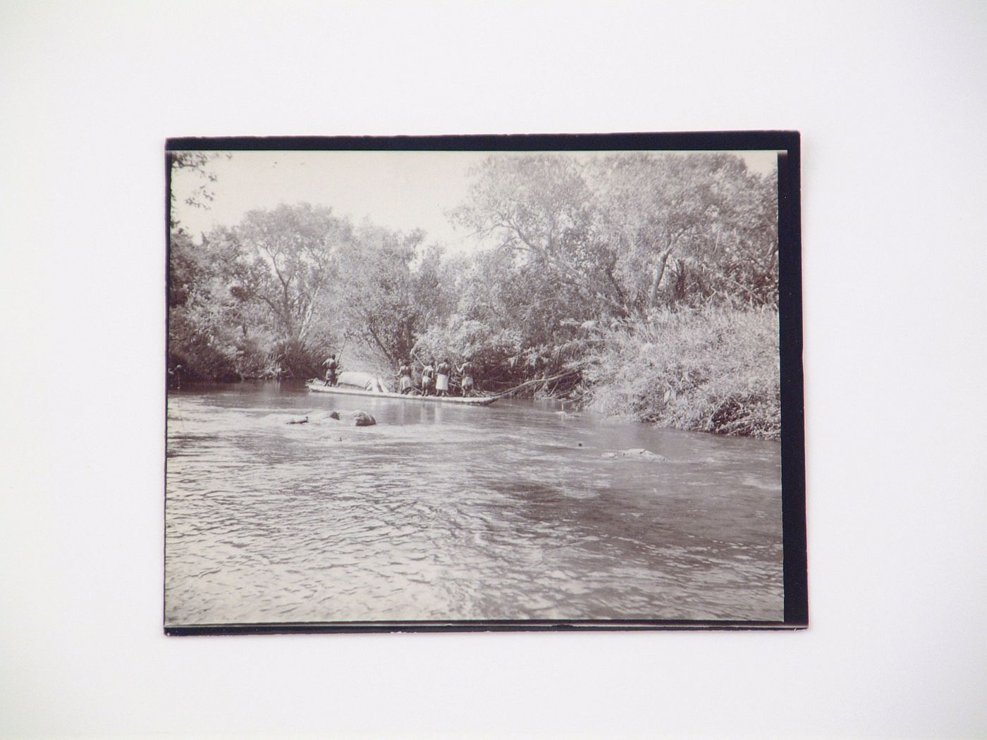 View of a group of people rowing a mokoro (wooden dugout canoe) boat, near Zambezi River